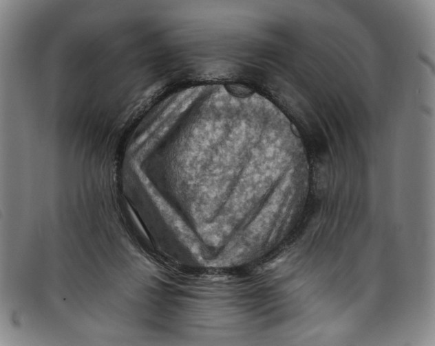 X0000097880260200804041620