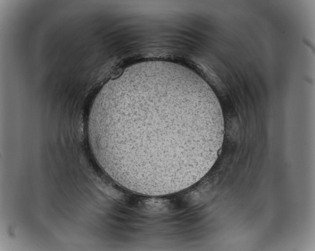 X0000097880261200804041620