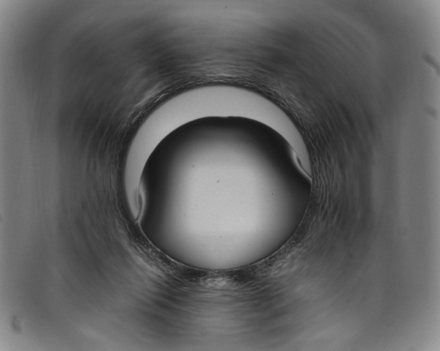 X0000097880262200804041620