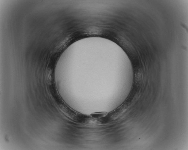 X0000097880264200804041620