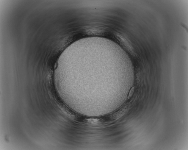 X0000097880265200804041620