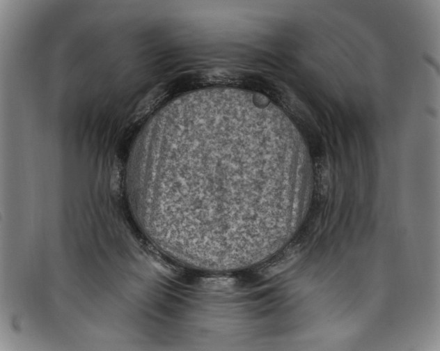 X0000097880266200804041620