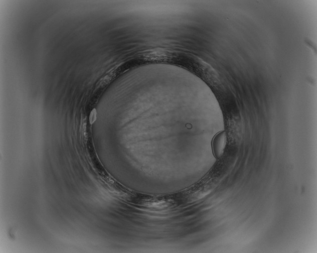 X0000097880267200804041620