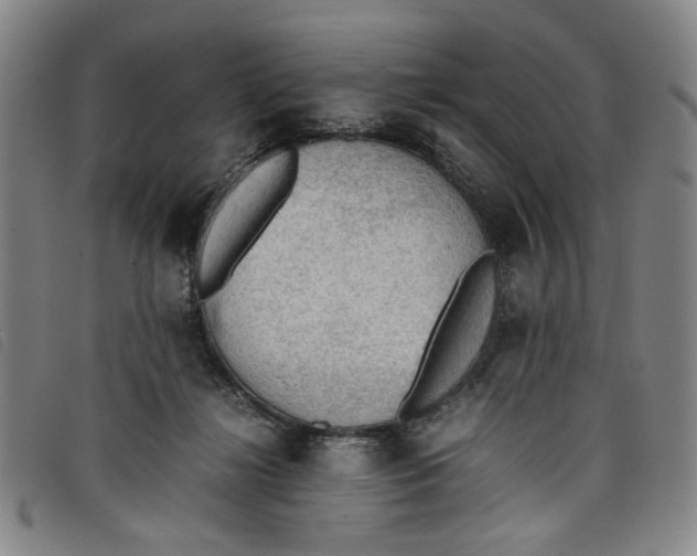 X0000097880268200804041620