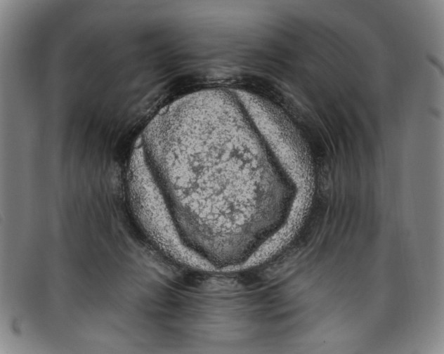 X0000097880270200804041621