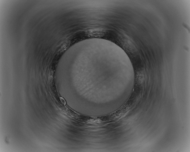 X0000097880271200804041621