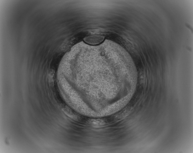 X0000097880275200804041621