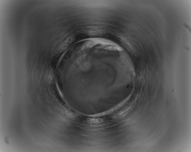 X0000097880277200804041621