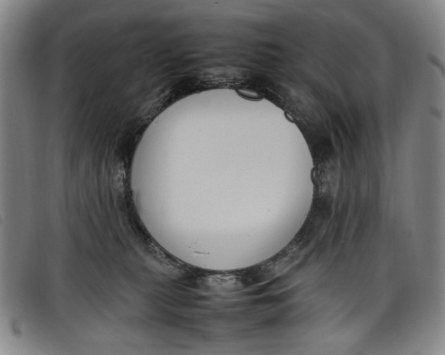 X0000097880279200804041621