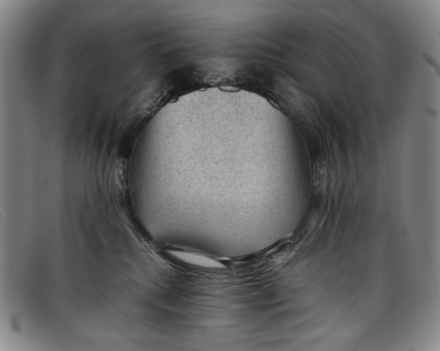 X0000097880280200804041621