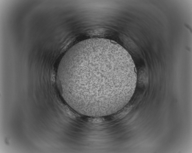 X0000097880282200804041621