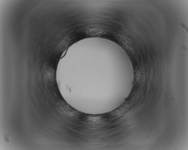 X0000097880283200804041621