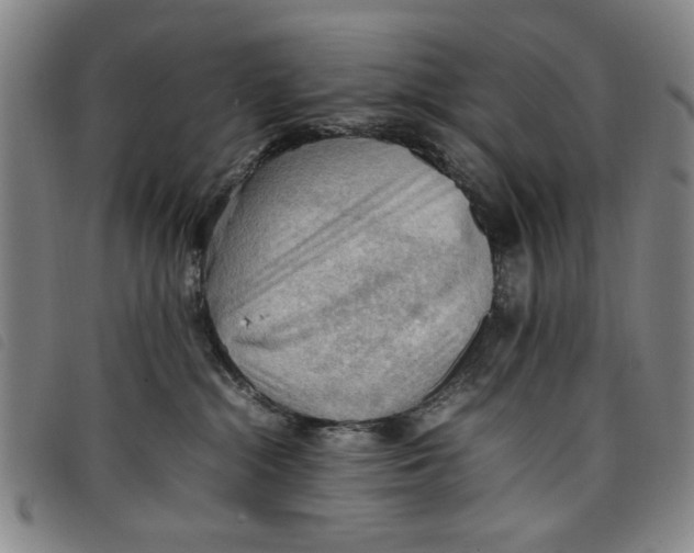 X0000097880284200804041621