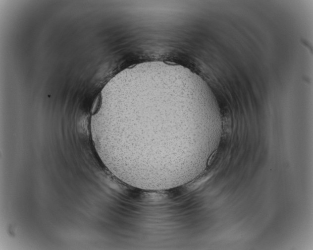 X0000097880286200804041621