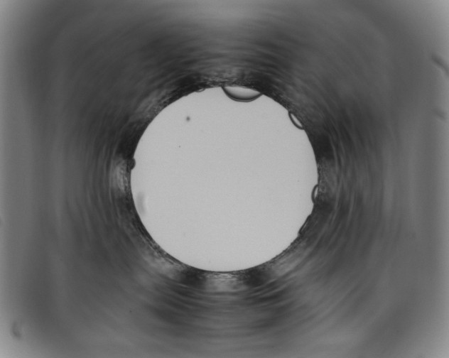 X0000097880287200804041621