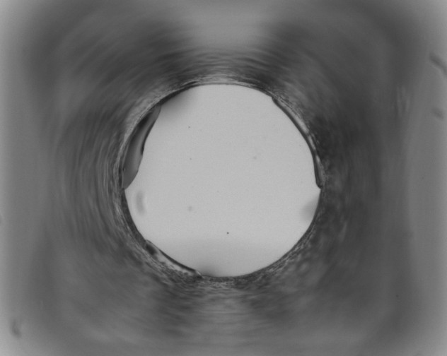 X0000097880289200804041620