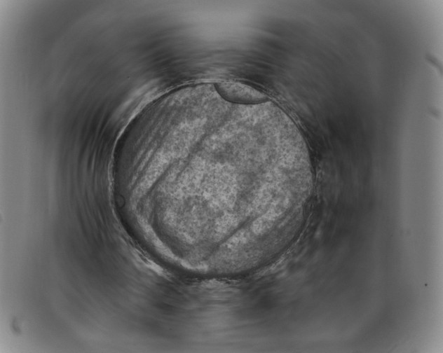 X0000097880290200804041620