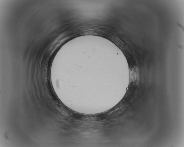 X0000097880291200804041620