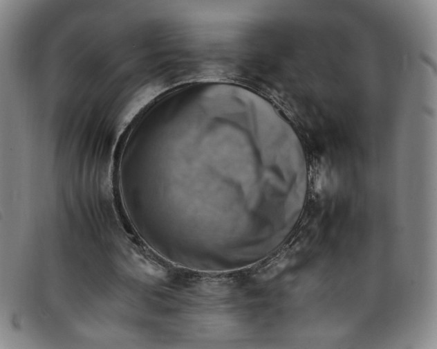 X0000097880292200804041620