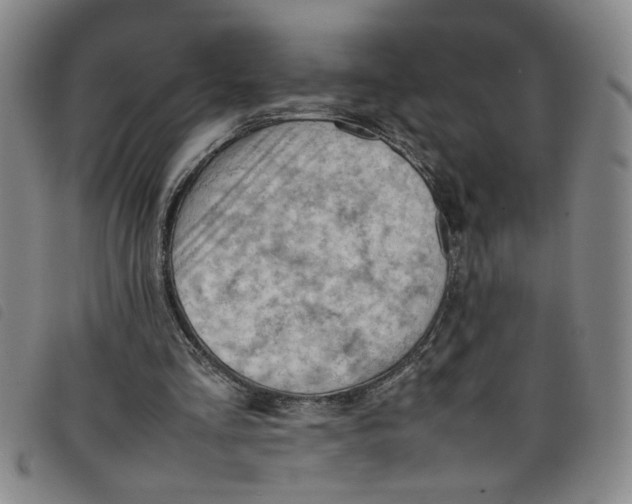 X0000097880293200804041620