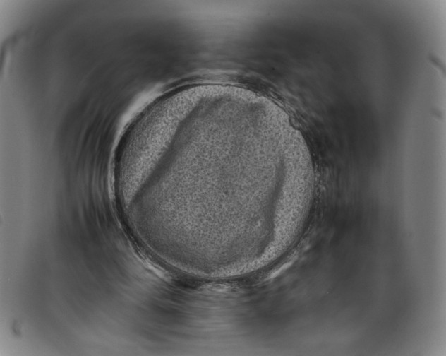 X0000097880294200804041620