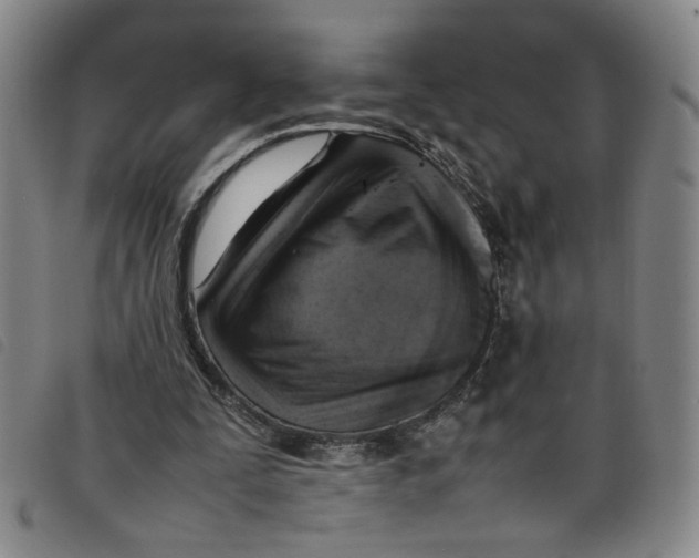 X0000097880295200804041620