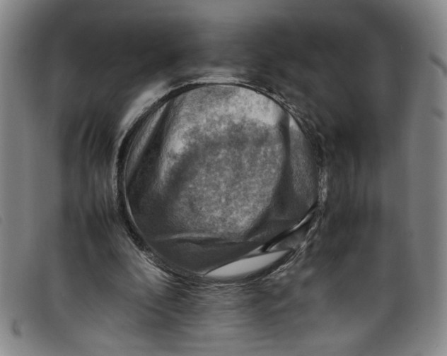 X0000097880296200804041620