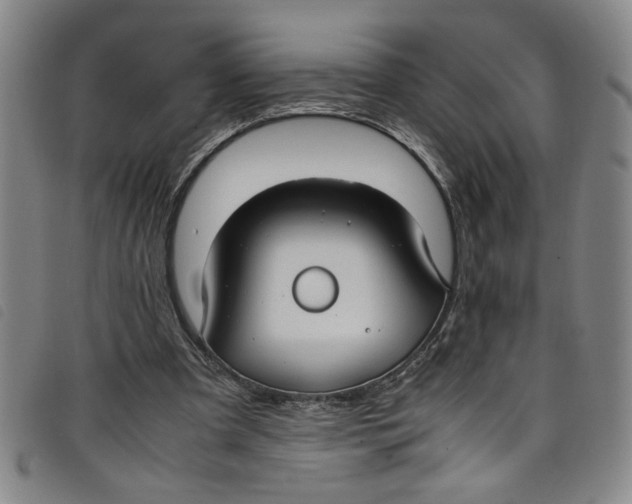 X0000097880297200804041620