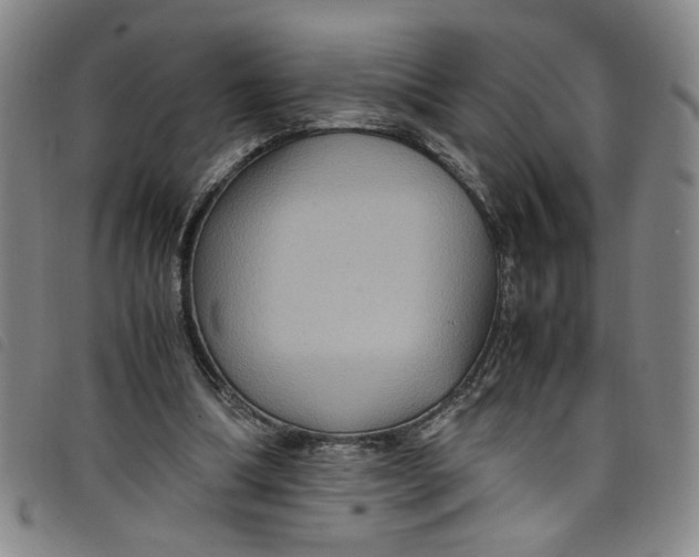 X0000097880298200804041620