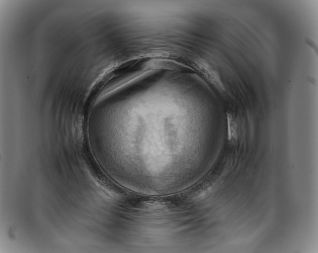 X0000097880300200804041620