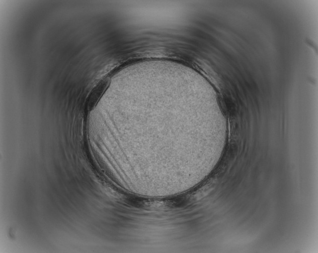 X0000097880301200804041620