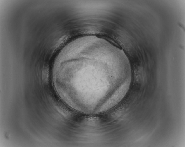 X0000097880304200804041620