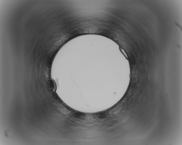 X0000097880305200804041620