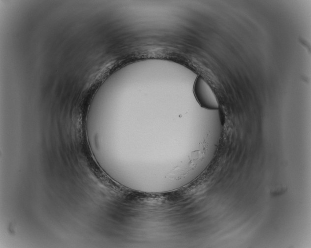 X0000097880306200804041620