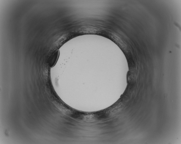 X0000097880309200804041620