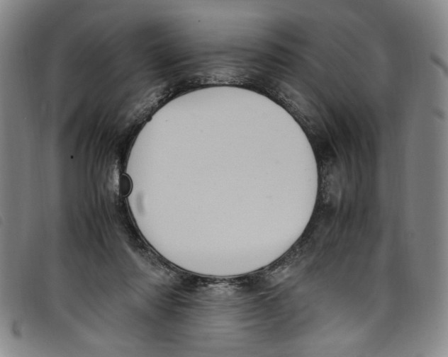 X0000097880310200804041620