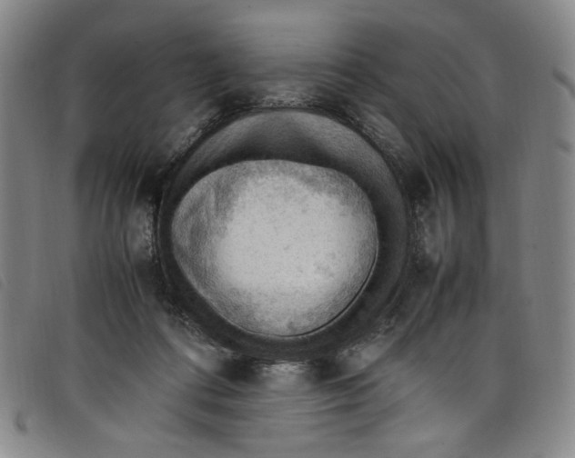 X0000097880312200804041620