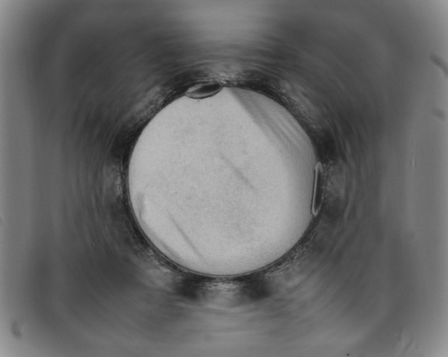 X0000097880313200804041620