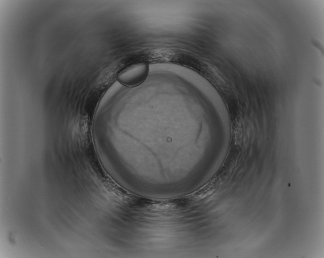 X0000097880314200804041620