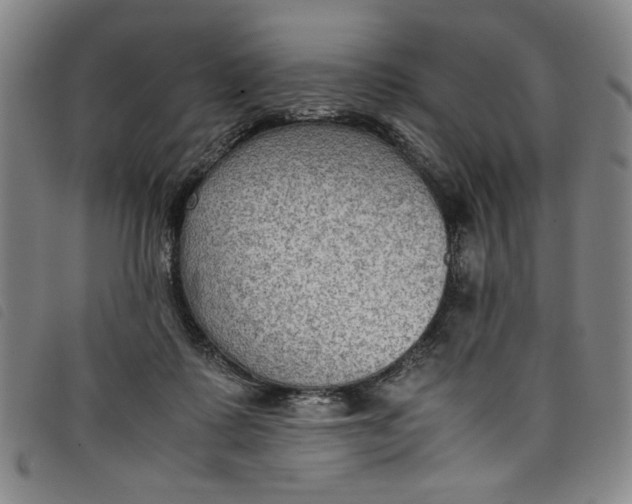 X0000097880315200804041620