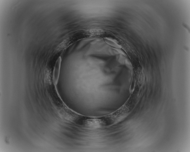 X0000097880316200804041620