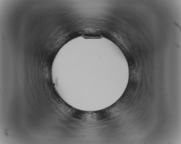 X0000097880317200804041620