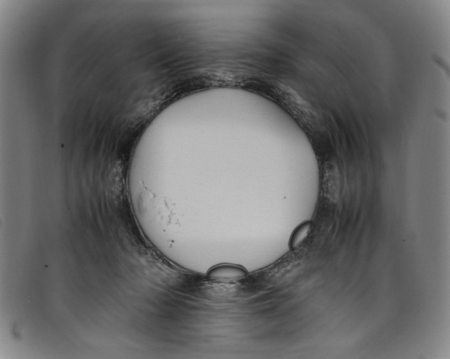 X0000097880318200804041620