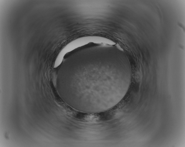 X0000097880319200804041620