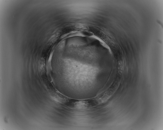 X0000097880320200804041619