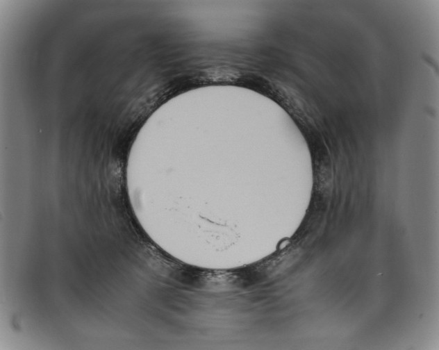 X0000097880321200804041619