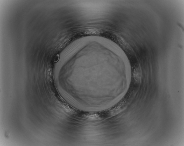 X0000097880322200804041619