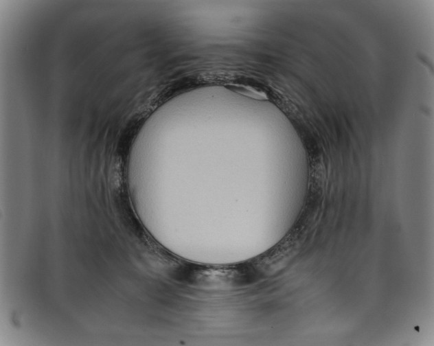 X0000097880323200804041619