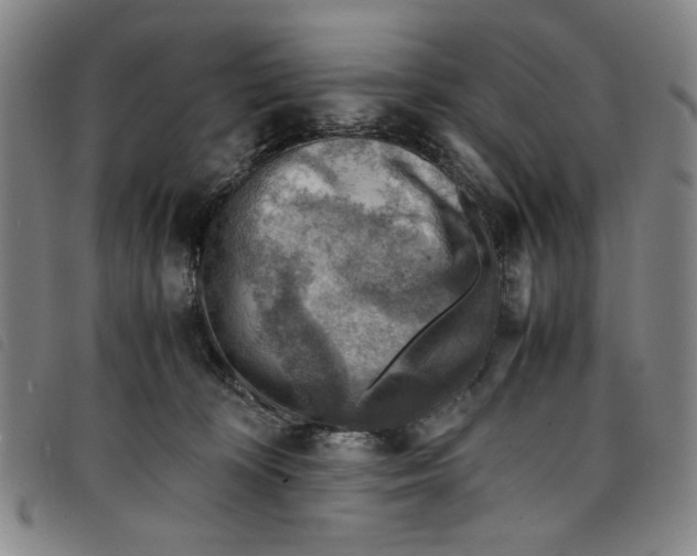 X0000097880324200804041619