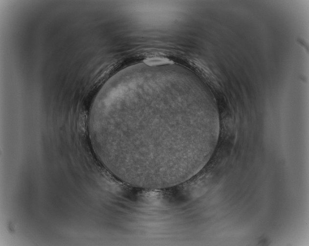 X0000097880325200804041619